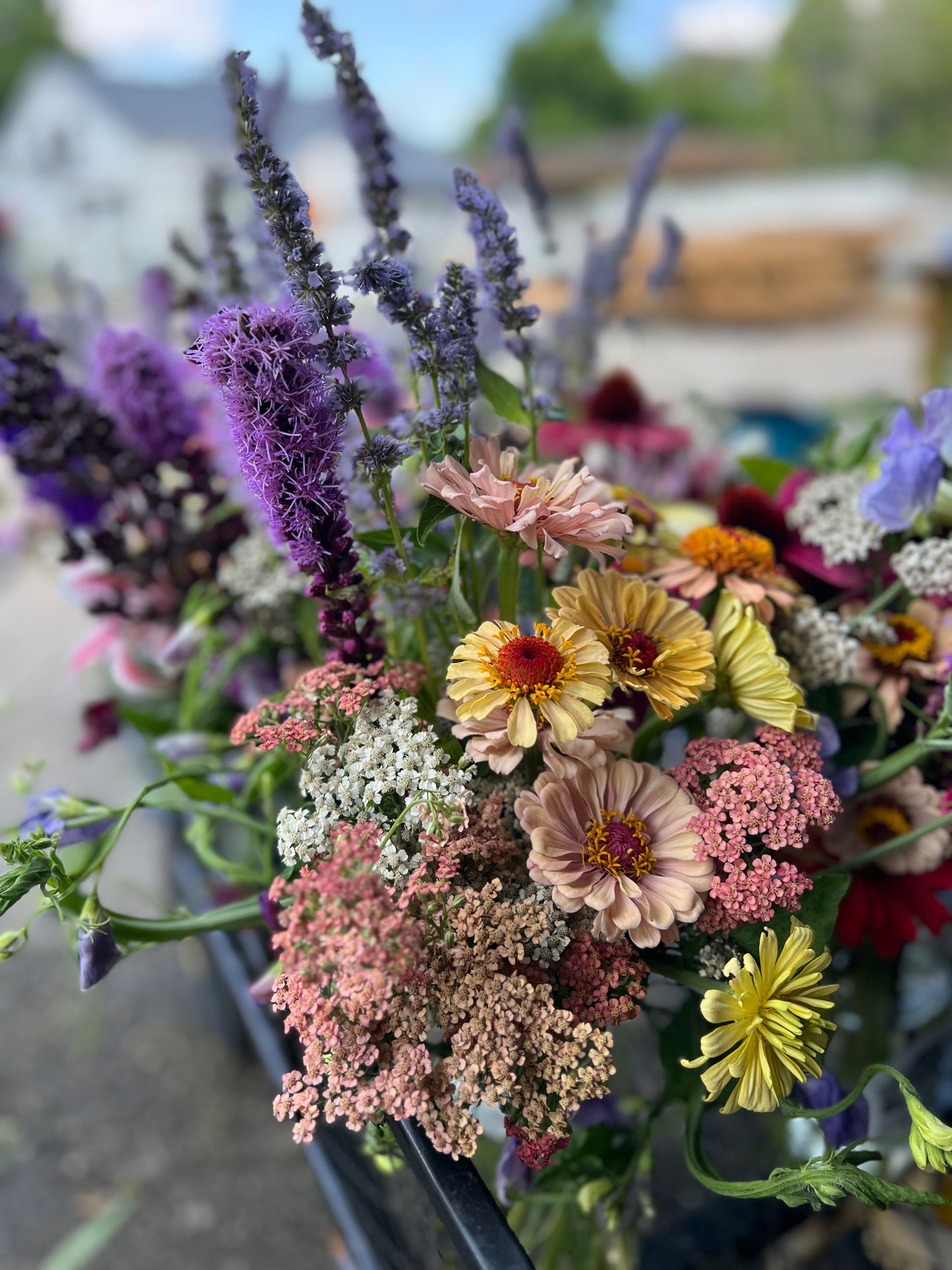 CSA Seasonal Flower Subscriptions