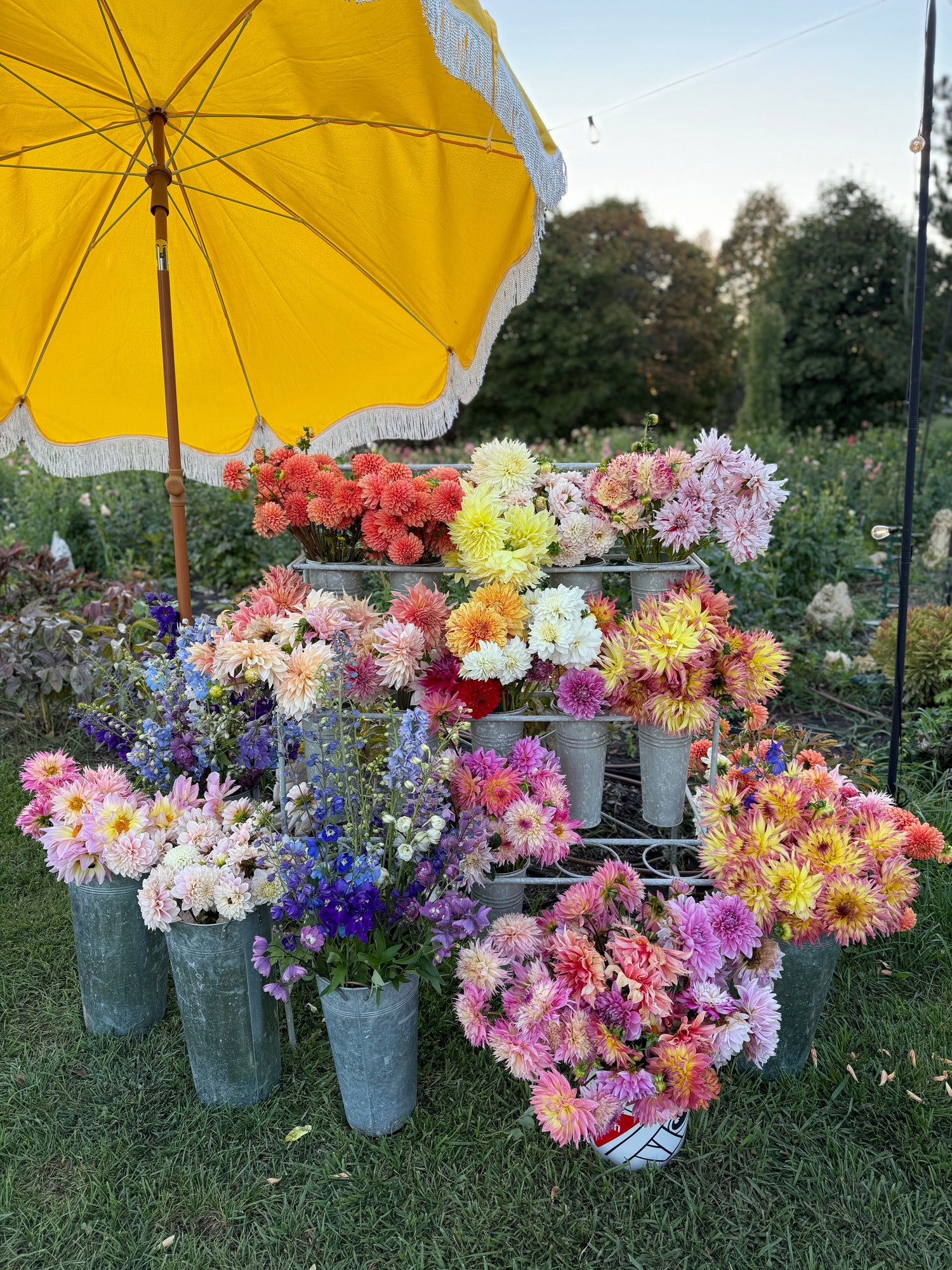 Farm Stand