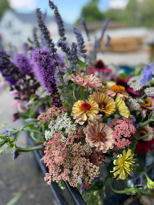 CSA Seasonal Flower Subscriptions